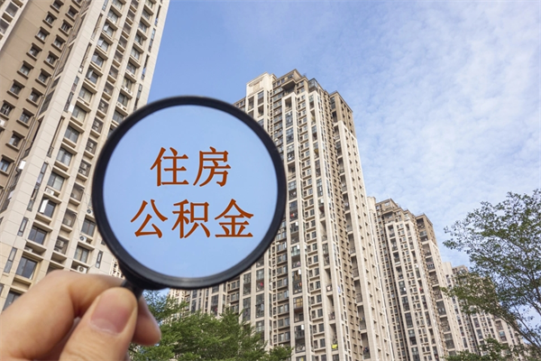 五指山app怎么取公积金（app怎么取住房公积金）